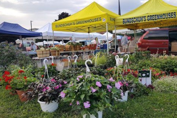 20180825_073339-8bb1edd4-1920w